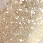 ANGEL WHITE BIO GLITTER
